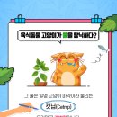 다솜고양이메디컬센터 이미지