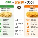 콜레스테롤 높이는 의외의 음식 1위 — 하버드 논문이 밝힌 라면의 진실 이미지