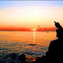 떠오르는태양 이미지