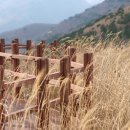 어느, 오후엔 이미지