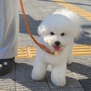 샵 세린파크 이미지