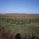 영림농장 이미지