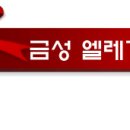 삼익가구금성침대