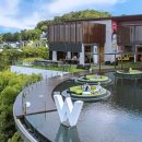 비비드풀빌라 | 코사무이 리조트 추천 W 사무이 허니문 풀빌라 숙소 후기