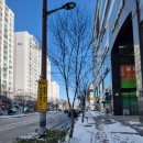 365마디척한의원 이미지