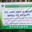 강원산약초산나물