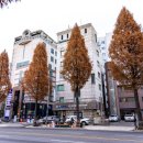 더와이즈치과기공소 이미지