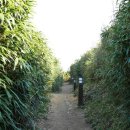 고궁민박 이미지