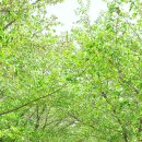 수원-1770 이미지