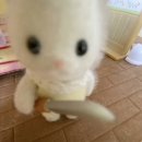 오늘의 하루 이미지