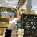 소잉 디자이너 이미지