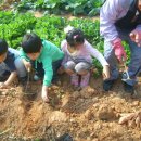 은혜어린이집 이미지