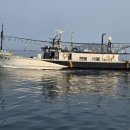 CU제주위미점 | 제주 배낚시 스텔라2호 ~ 갑오징어 낚시 서귀포 호조황 ! 날씨가 아쉬웠던 출조후기