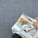 달봄푸릇
