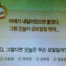 요일