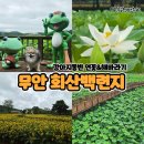 백련캠핑장 | 애견동반까지! 엄빠랑 강아지랑 다녀온 무안 회산백련지 7월 실시간 후기 (해바라기 명당 주차 꿀팁)