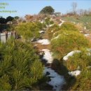 관암1리 마을회관 이미지