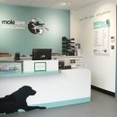 포근한동물병원 이미지