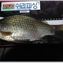 제일낚시터 이미지