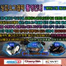 서해대교바다낚시터 이미지