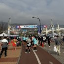 315 | 2026 마산 315마라톤 뛴 솔직후기 경남스틸 단체