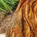 범골식당