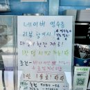 댕스투 | 애견동반 가능한 오션뷰 성산카페 추천! 하와이안비치카페 솔직후기