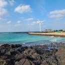 고요