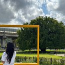 약나무마실 | [인천]인천대공원 인근 은행나무 뷰가 멋진 감성 카페 소슬재 후기 내돈내산