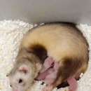 종인목장 이미지