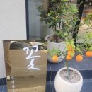 e 편한세상 107동 앞 이미지