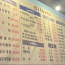 통통한오징어