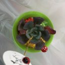 명락노인복지관 | 사회적 농업 인턴십 1주차 후기(2)