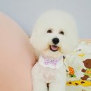 까까멍 이미지