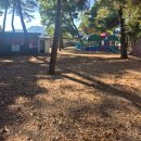 B19-2 | 충북 괴산 &#39;숲속의 하모니 캠핑장&#39; B사이트 이용후기