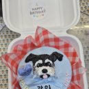 댕냥이 점빵 이미지