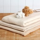 케이준컴퍼니 이미지