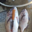 대림민박 이미지