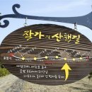 천지연로 이미지