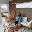 스테이 도노 이미지