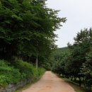 불향원