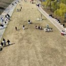 용인대 세미 태권도장 이미지