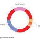 플라스미드(PLASMID)