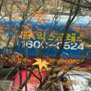 sk익스프레스-1 | 아정당 sk익스프레스 포장이사 내돈내산 후기