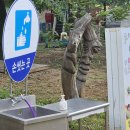 달우물농장 이미지