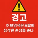 허브 염색 에 대하여 알아봅니다 이미지
