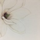 보태니컬 아트(기초) 이미지