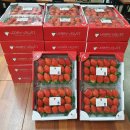 순영농장 이미지