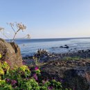 꿈이있는목장 이미지