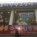 댕댕이 머리방 이미지